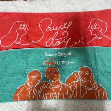 사우시 타월 세트 바트리아 리 마호토케