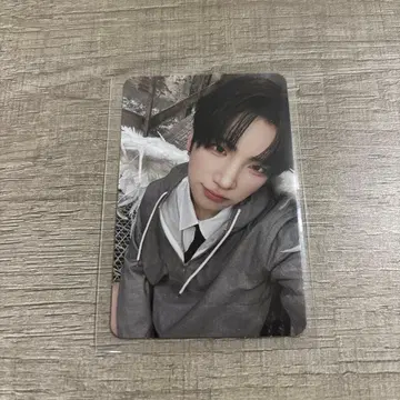 &TEAM BtL weverse album 트레이딩 카드 YUMA 유우마