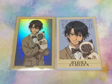 신 테니스의 왕자님 POP UP STORE 에치젠 료마