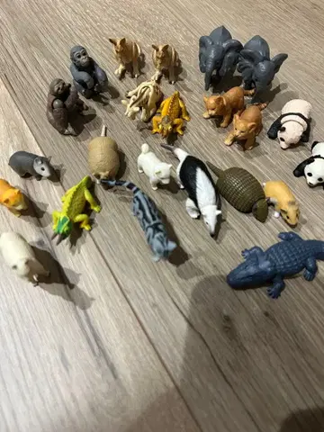 아니아 복권 묶음 판매 세트