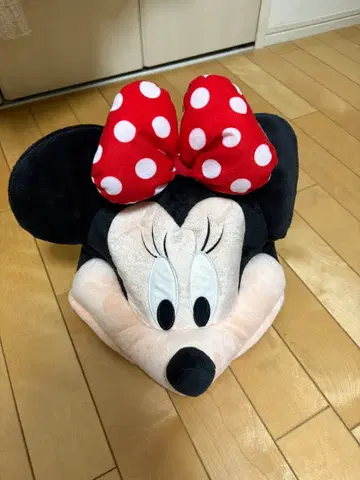 디즈니 팬캡 미니