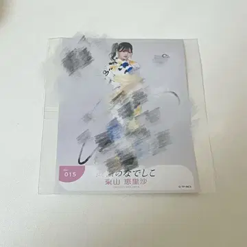 타카네노 나데시코 히가시야마 에리사 직필 브로마이드