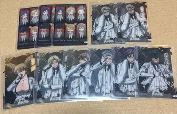 도원암귀 클리어 카드 컬렉션 모모이 츠쿠요미 츠바키리