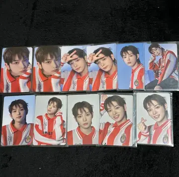 &TEAM HARUA 하루아 파우프리 트레이딩 카드 묶음 판매