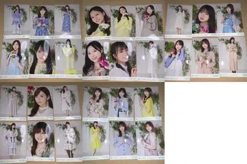 노기자카46 브로마이드 30장