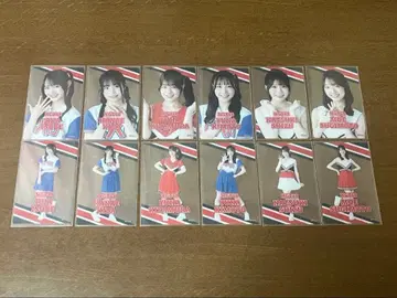 NGT48 클리어 카드 2025년 11월 ver 3기생 컴플리트 세트