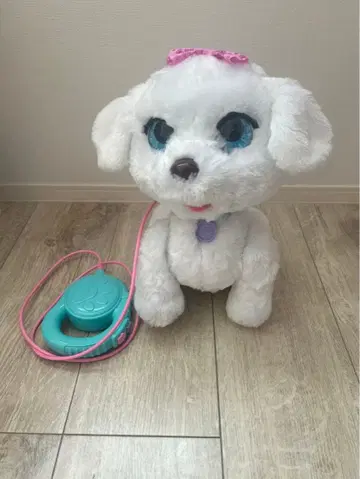 퍼리얼 댄스도 할 수 있어! 산책하는 강아지