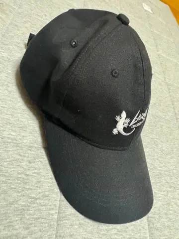 도마뱀 자수 블랙 캡