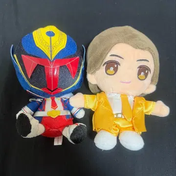 이와사키 타이쇼 하피누이