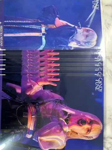 미야노 시즈카 생일 기념 복권 클리어 포스터