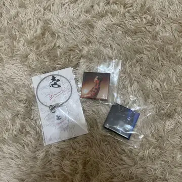 처분 예정 유우리 TOUR 2022 피크 키링 캔뱃지 배치