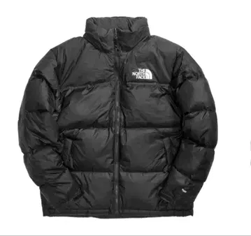 THE NORTH FACE 블랙 다운 자켓
