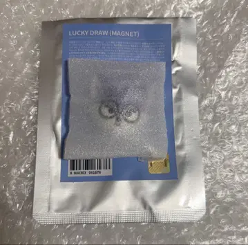 MINITEEN 마그넷 FOXDUNGEE