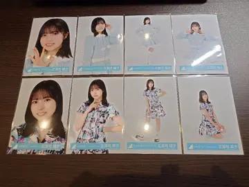 히나타자카 쇼겐지 요코 브로마이드 8종 컴프