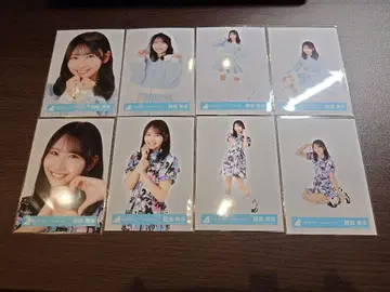 히나타자카 후지시마 카호 브로마이드 8종 컴프