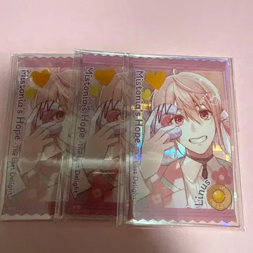 가을바람 마르쉐 아쿠카 라이너스