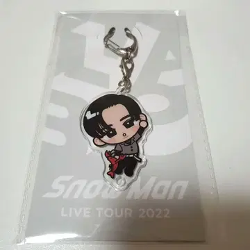 스노우 칠 아크릴 키링 메구로 렌