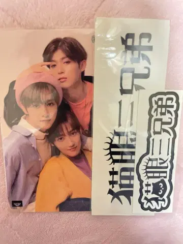 고양이 눈 삼형제 엽서 스티커