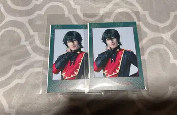 앙스테 폴라로이드풍 카드 카게히라 미카