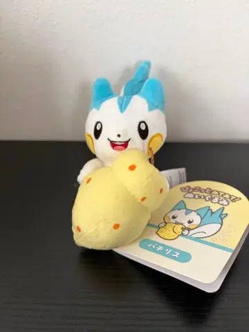 포켓몬 센터 파치리스 뿅긋 보고 있어! 봉제 인형