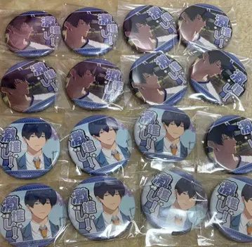 망각 배터리 세이호 하루카 격최애 캔뱃지 캔뱃지 16개 2종