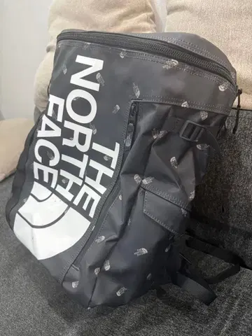 THE NORTH FACE 백팩