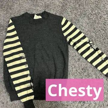 체스티 비쥬 장식 소매 보더 니트