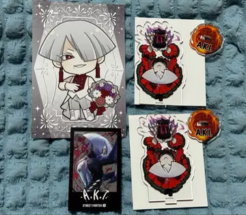 스트리트 파이터 6 AKI 아키 세트