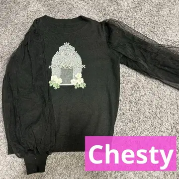 체스티 플라워 자수 시스루 소매 니트