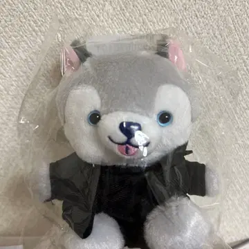 SixTONES 마츠무라 호쿠토 봉제 인형 노키도아 토리이누 굿즈 강아지