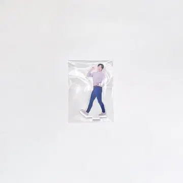 리얼 아키바 보이즈 네스 아크릴 디오라마