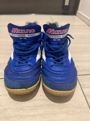 미즈노 풋살화 모레리아