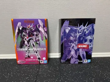 METAL BUILD 트랜잠 라이저 Full Particle ver.