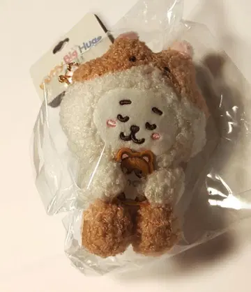 BT21 RJ MOTTO HUG 마스코트 BTS JIN 진 석진