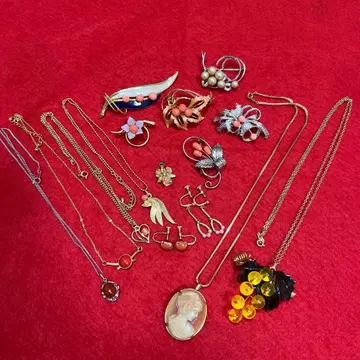 주얼리 세트 목걸이와 브로치