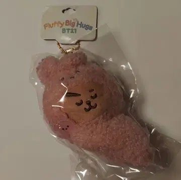 BT21 COOKY MOTTO HUG 마스코트 BTS 정국