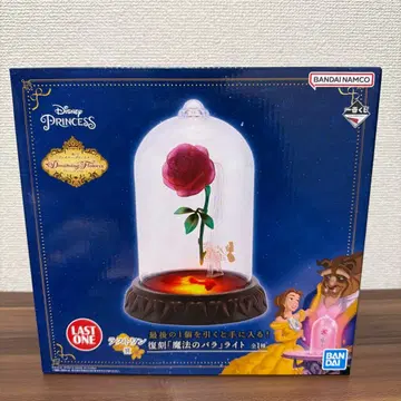 디즈니 미녀와 야수 마법의 장미 라이트 라스트 원
