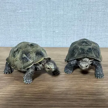 슐라이히 와일드 라이프 코끼리거북 피규어 2개 묶음 판매 세트
