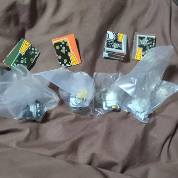 히로아카 냥코 4세트