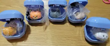 zeroni   반지 5종 가챠