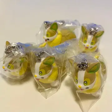 포켓몬 스윙 컬렉션 원룸 5종