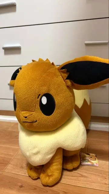포켓몬 이브이 봉제 인형