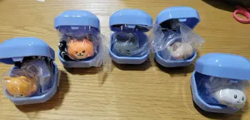 zeroni   반지 5종 가챠