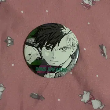 WIND BREAKER 사쿠라 하루카 캔뱃지 원작 윈브레