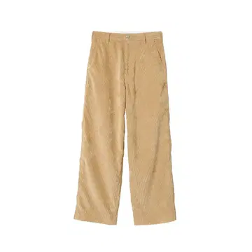 THE SHISHIKUI Painter C / CORDUROY BEIGE