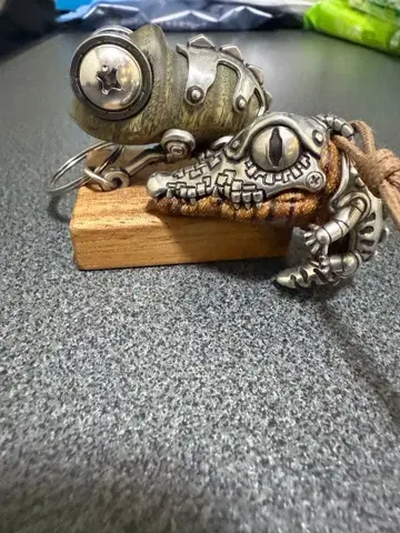 카멜레온과 악어