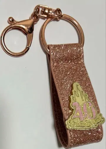 도쿄 디즈니 리조트 한정판 40주년 신데렐라 성 머리띠 홀더