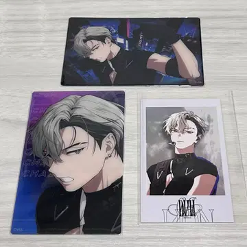 비바 렌 Xlamv 레온 밤 파샤코레