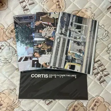 CORTIS 코르티스 앨범 미개봉 새상품 비주얼 카드 혜택