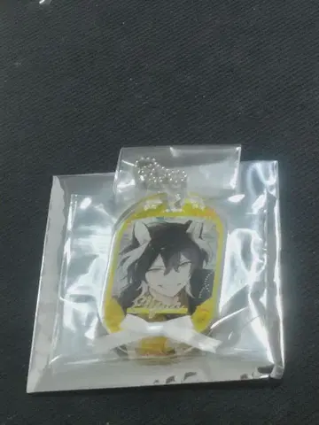 Honey Vibes 하니브 엘리야 리본 타이 아크릴 AGF 스텔라